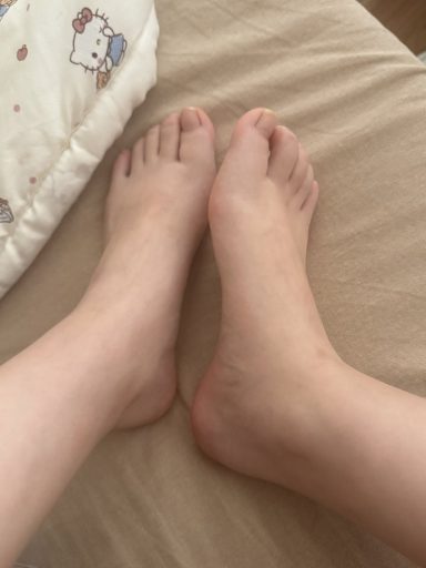 肥肥的jiojio